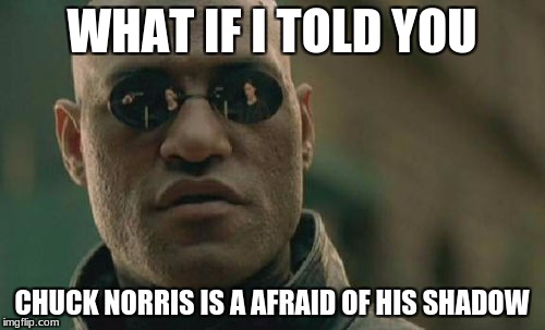 Matrix Morpheus Meme | WHAT IF I TOLD YOU CHUCK NORRIS IS A AFRAID OF HIS SHADOW | image tagged in memes,matrix morpheus | made w/ Imgflip meme maker