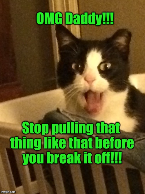 Stop it!!! | OMG Daddy!!! Stop pulling that thing like that before you break it off!!! | image tagged in masterbation,cat | made w/ Imgflip meme maker