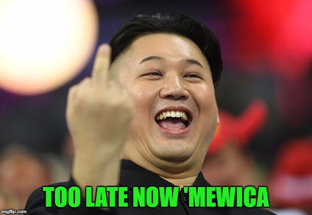 TOO LATE NOW 'MEWICA | made w/ Imgflip meme maker