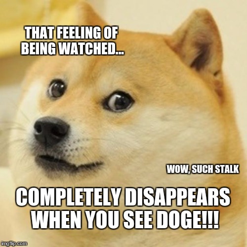 Doge Meme | THAT FEELING OF BEING WATCHED... WOW, SUCH STALK COMPLETELY DISAPPEARS WHEN YOU SEE DOGE!!! | image tagged in memes,doge | made w/ Imgflip meme maker