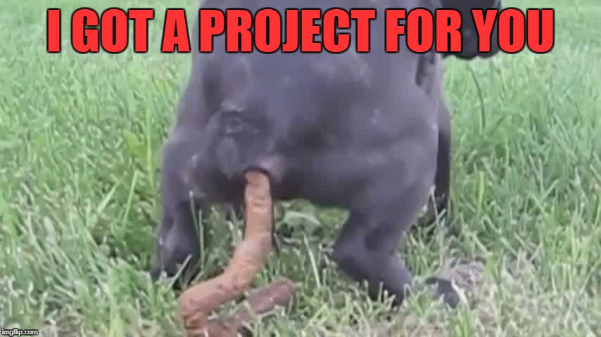 I GOT A PROJECT FOR YOU | made w/ Imgflip meme maker