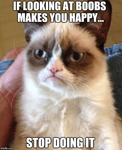 Grumpy Cat Meme | STOP DOING IT IF LOOKING AT BOOBS MAKES YOU HAPPY... | image tagged in memes,grumpy cat | made w/ Imgflip meme maker
