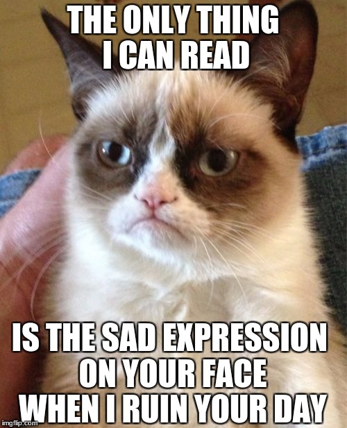 Grumpy Cat Meme | THE ONLY THING I CAN READ IS THE SAD EXPRESSION ON YOUR FACE WHEN I RUIN YOUR DAY | image tagged in memes,grumpy cat | made w/ Imgflip meme maker