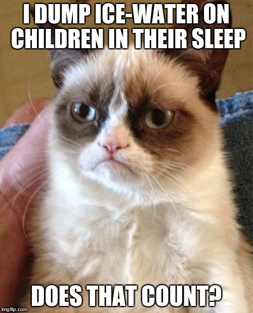 Grumpy Cat Meme | I DUMP ICE-WATER ON CHILDREN IN THEIR SLEEP DOES THAT COUNT? | image tagged in memes,grumpy cat | made w/ Imgflip meme maker