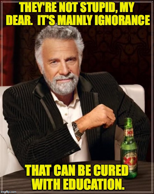 The Most Interesting Man In The World Meme | THEY'RE NOT STUPID, MY DEAR.  IT'S MAINLY IGNORANCE THAT CAN BE CURED WITH EDUCATION. | image tagged in memes,the most interesting man in the world | made w/ Imgflip meme maker