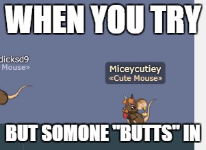 Butting in | WHEN YOU TRY; BUT SOMONE "BUTTS" IN | image tagged in chemistry cat | made w/ Imgflip meme maker