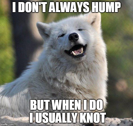 supersecretwolf | I DON'T ALWAYS HUMP; BUT WHEN I DO I USUALLY KNOT | image tagged in supersecretwolf | made w/ Imgflip meme maker