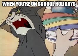 tom and jerry | WHEN YOU'RE ON SCHOOL HOLIDAYS | image tagged in tom and jerry | made w/ Imgflip meme maker