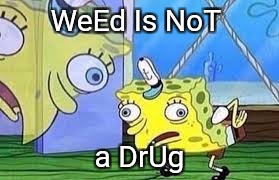 Spongebob | WeEd Is NoT; a DrUg | image tagged in spongebob | made w/ Imgflip meme maker