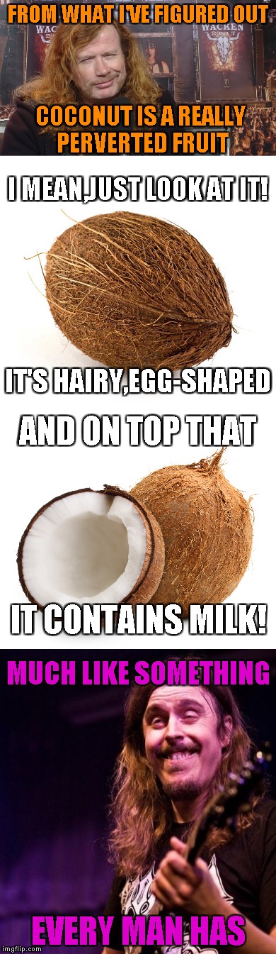 What if coconuts are actually palm-tree's balls? | FROM WHAT I'VE FIGURED OUT; COCONUT IS A REALLY PERVERTED FRUIT; I MEAN,JUST LOOK AT IT! IT'S HAIRY,EGG-SHAPED; AND ON TOP THAT; IT CONTAINS MILK! MUCH LIKE SOMETHING; EVERY MAN HAS | image tagged in memes,coconut,nuts,perv,powermetalhead,funny | made w/ Imgflip meme maker