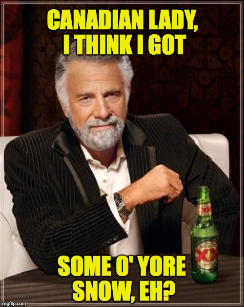 When can you pick it up? | CANADIAN LADY, I THINK I GOT; SOME O' YORE SNOW, EH? | image tagged in memes,the most interesting man in the world | made w/ Imgflip meme maker