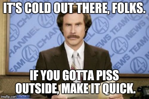 Ron Burgundy Meme | IT'S COLD OUT THERE, FOLKS. IF YOU GOTTA PISS OUTSIDE, MAKE IT QUICK. | image tagged in memes,ron burgundy,winter | made w/ Imgflip meme maker