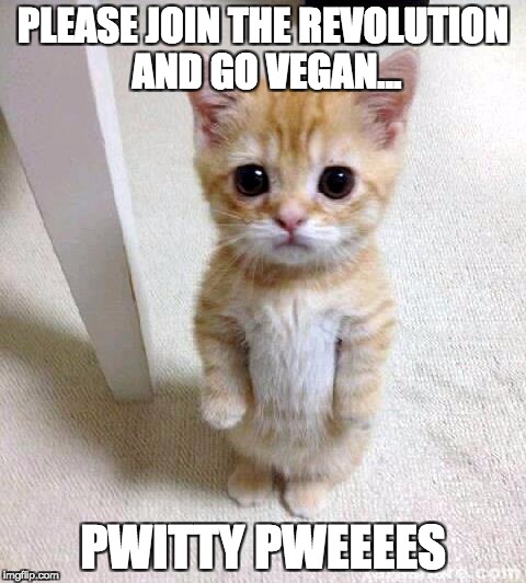 Cute Cat Meme | PLEASE JOIN THE REVOLUTION AND GO VEGAN... PWITTY PWEEEES | image tagged in memes,cute cat | made w/ Imgflip meme maker