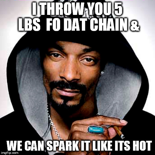 I THROW YOU 5 LBS

FO DAT CHAIN & WE CAN SPARK IT LIKE ITS HOT | made w/ Imgflip meme maker