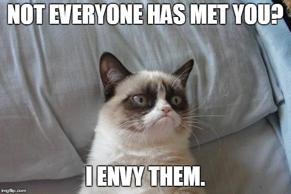 NOT EVERYONE HAS MET YOU? I ENVY THEM. | made w/ Imgflip meme maker