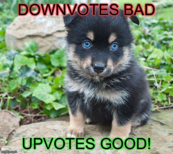DOWNVOTES BAD UPVOTES GOOD! | made w/ Imgflip meme maker