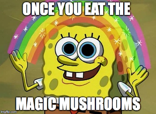 Imagination Spongebob Meme | ONCE YOU EAT THE; MAGIC MUSHROOMS | image tagged in memes,imagination spongebob | made w/ Imgflip meme maker