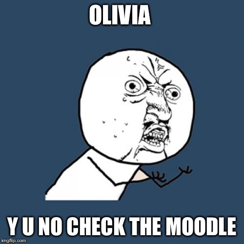 Y U No Meme | OLIVIA; Y U NO CHECK THE MOODLE | image tagged in memes,y u no | made w/ Imgflip meme maker
