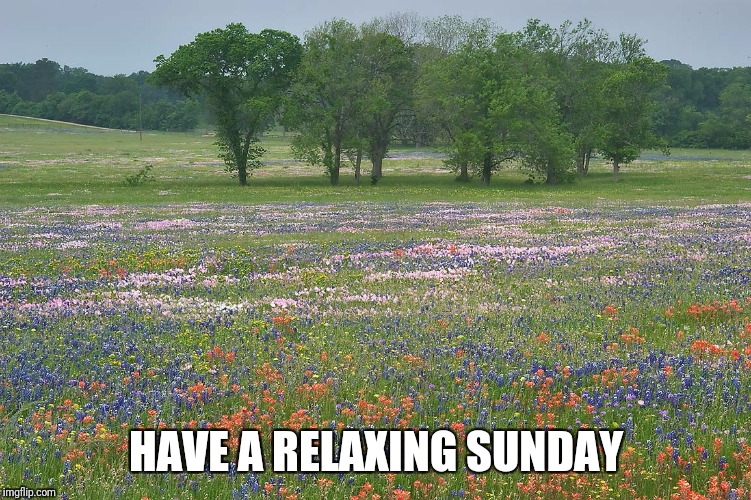 HAVE A RELAXING SUNDAY | made w/ Imgflip meme maker