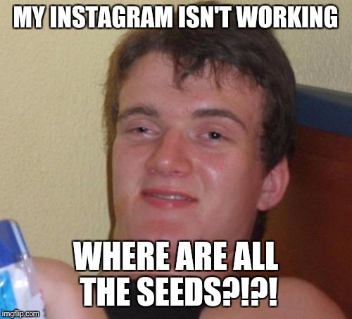 10 Guy the Gardener | MY INSTAGRAM ISN'T WORKING; WHERE ARE ALL THE SEEDS?!?! | image tagged in memes,10 guy,garden,seeds,instagram,social media | made w/ Imgflip meme maker