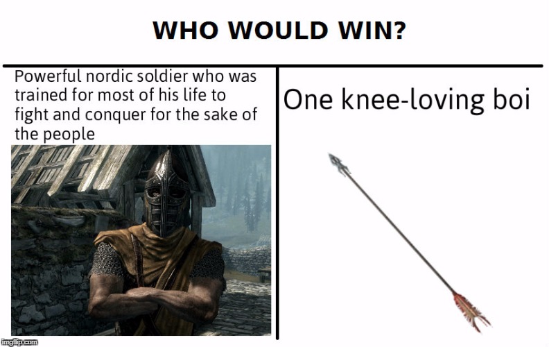 image tagged in memes,who would win,skyrim,video games | made w/ Imgflip meme maker