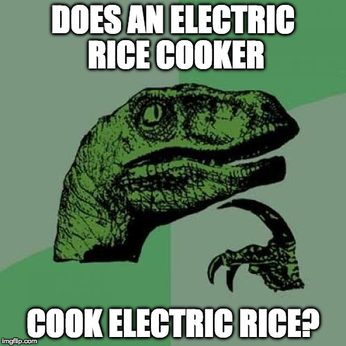 Philosoraptor | DOES AN ELECTRIC RICE COOKER; COOK ELECTRIC RICE? | image tagged in memes,philosoraptor | made w/ Imgflip meme maker