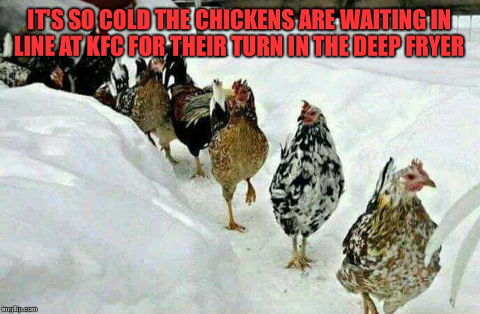 Meanwhile In Kentucky  | IT'S SO COLD THE CHICKENS ARE WAITING IN LINE AT KFC FOR THEIR TURN IN THE DEEP FRYER | image tagged in lynch1979,lol,kfc,memes | made w/ Imgflip meme maker