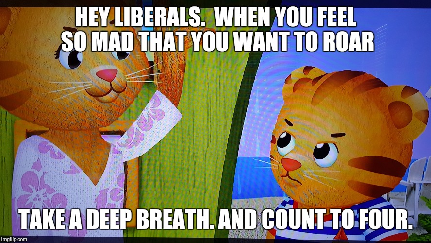 Good teaching for liberals. | HEY LIBERALS.  WHEN YOU FEEL SO MAD THAT YOU WANT TO ROAR; TAKE A DEEP BREATH. AND COUNT TO FOUR. | image tagged in daniel mad | made w/ Imgflip meme maker