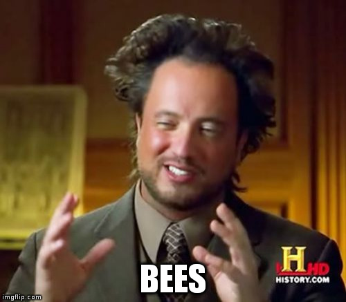 Ancient Aliens | BEES | image tagged in memes,ancient aliens | made w/ Imgflip meme maker