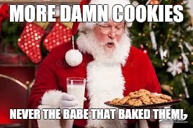Cookies for santa | MORE DAMN COOKIES; NEVER THE BABE THAT BAKED THEM! | image tagged in santa with cookies,babe,baked | made w/ Imgflip meme maker