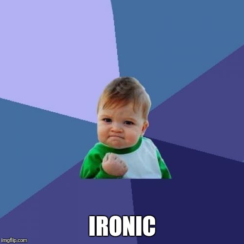 Success Kid Meme | IRONIC | image tagged in memes,success kid | made w/ Imgflip meme maker