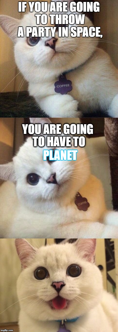 bad pun cat  | IF YOU ARE GOING TO THROW A PARTY IN SPACE, YOU ARE GOING TO HAVE TO; PLANET | image tagged in bad pun cat | made w/ Imgflip meme maker