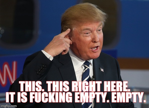 Donald Trump Pointing to His Head | THIS. THIS RIGHT HERE. IT IS FUCKING EMPTY. EMPTY. | image tagged in donald trump pointing to his head | made w/ Imgflip meme maker