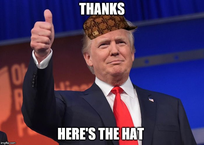 donald trump | THANKS; HERE'S THE HAT | image tagged in donald trump,scumbag | made w/ Imgflip meme maker