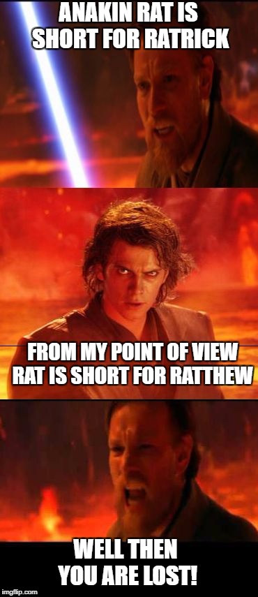 Then you are lost | ANAKIN RAT IS SHORT FOR RATRICK; FROM MY POINT OF VIEW RAT IS SHORT FOR RATTHEW; WELL THEN YOU ARE LOST! | image tagged in then you are lost | made w/ Imgflip meme maker