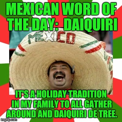 Mexican Word Of The Day | MEXICAN WORD OF THE DAY:  DAIQUIRI; IT'S A HOLIDAY TRADITION IN MY FAMILY TO ALL GATHER AROUND AND DAIQUIRI DE TREE. | image tagged in mexican word of the day | made w/ Imgflip meme maker