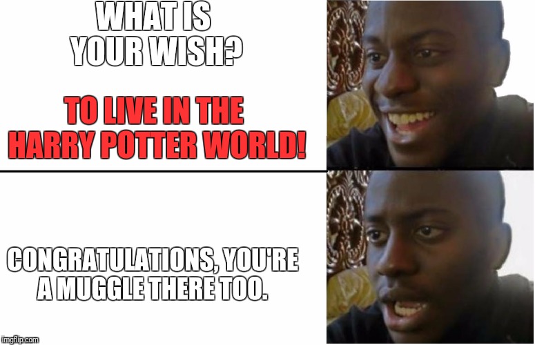 Disappointed Black Guy | WHAT IS YOUR WISH? TO LIVE IN THE HARRY POTTER WORLD! CONGRATULATIONS, YOU'RE A MUGGLE THERE TOO. | image tagged in disappointed black guy | made w/ Imgflip meme maker