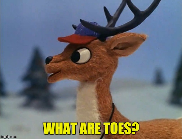 WHAT ARE TOES? | made w/ Imgflip meme maker