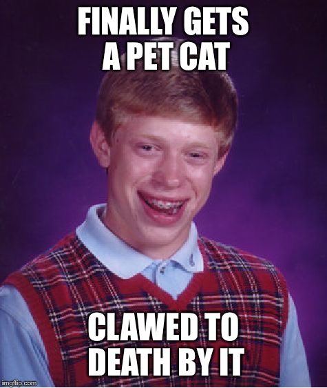 Bad Luck Brian Meme | FINALLY GETS A PET CAT; CLAWED TO DEATH BY IT | image tagged in memes,bad luck brian,cats | made w/ Imgflip meme maker