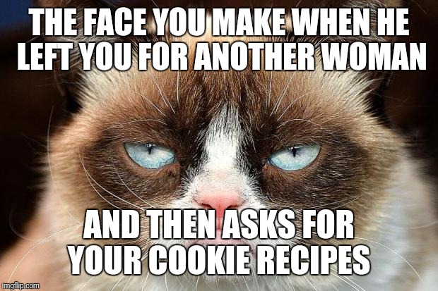 Grumpy Cat Not Amused Meme | THE FACE YOU MAKE WHEN HE LEFT YOU FOR ANOTHER WOMAN; AND THEN ASKS FOR YOUR COOKIE RECIPES | image tagged in memes,grumpy cat not amused,grumpy cat | made w/ Imgflip meme maker