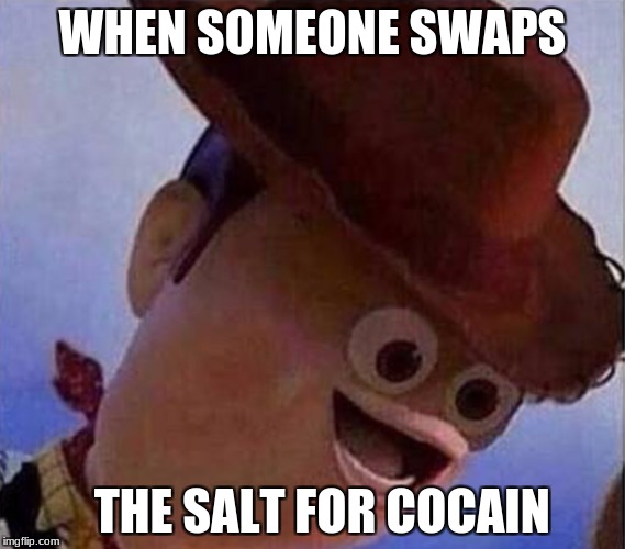 Derp Woody | WHEN SOMEONE SWAPS; THE SALT FOR COCAIN | image tagged in derp woody | made w/ Imgflip meme maker