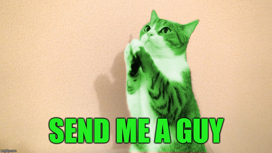 RayCat Pray | SEND ME A GUY | image tagged in raycat pray | made w/ Imgflip meme maker