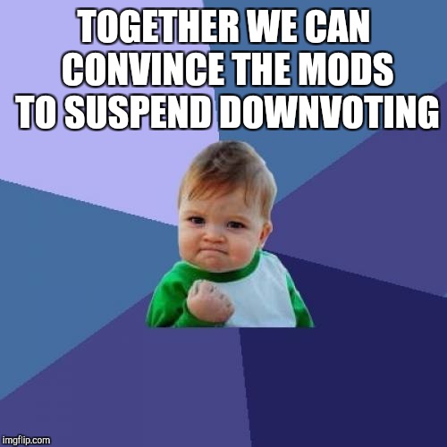 Success Kid Meme | TOGETHER WE CAN CONVINCE THE MODS TO SUSPEND DOWNVOTING | image tagged in memes,success kid | made w/ Imgflip meme maker