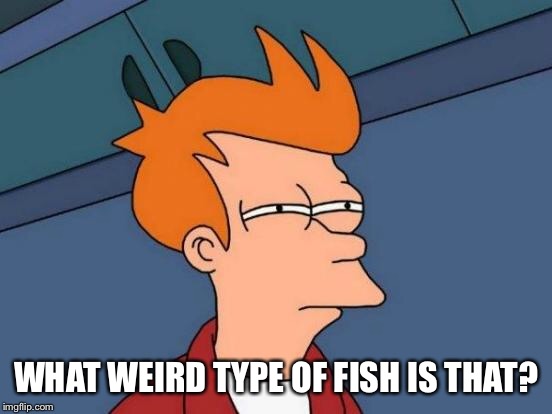 Futurama Fry Meme | WHAT WEIRD TYPE OF FISH IS THAT? | image tagged in memes,futurama fry | made w/ Imgflip meme maker