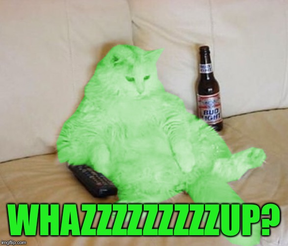 RayCat Chillin' | WHAZZZZZZZZZUP? | image tagged in raycat chillin' | made w/ Imgflip meme maker