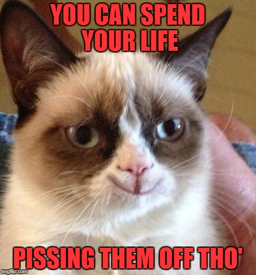 YOU CAN SPEND YOUR LIFE PISSING THEM OFF THO' | made w/ Imgflip meme maker