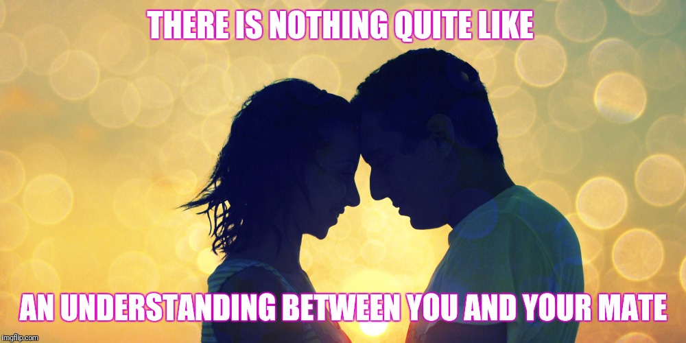 Relationship  | THERE IS NOTHING QUITE LIKE; AN UNDERSTANDING BETWEEN YOU AND YOUR MATE | image tagged in relationship | made w/ Imgflip meme maker