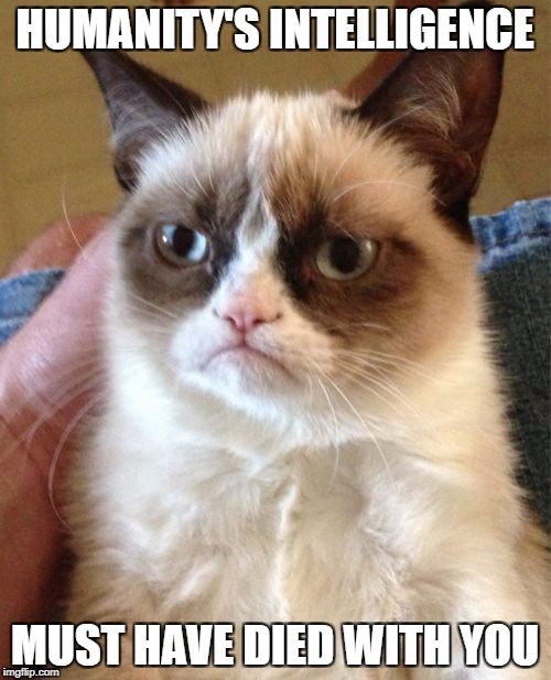 Grumpy Cat Meme | HUMANITY'S INTELLIGENCE MUST HAVE DIED WITH YOU | image tagged in memes,grumpy cat | made w/ Imgflip meme maker