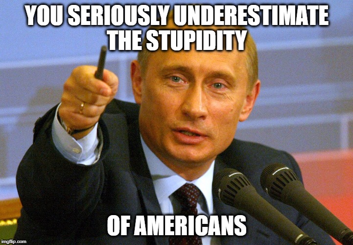 YOU SERIOUSLY UNDERESTIMATE THE STUPIDITY OF AMERICANS | made w/ Imgflip meme maker