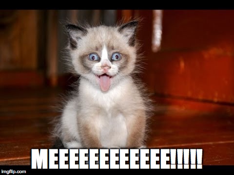 goofy kitten | MEEEEEEEEEEEE!!!!! | image tagged in goofy kitten | made w/ Imgflip meme maker